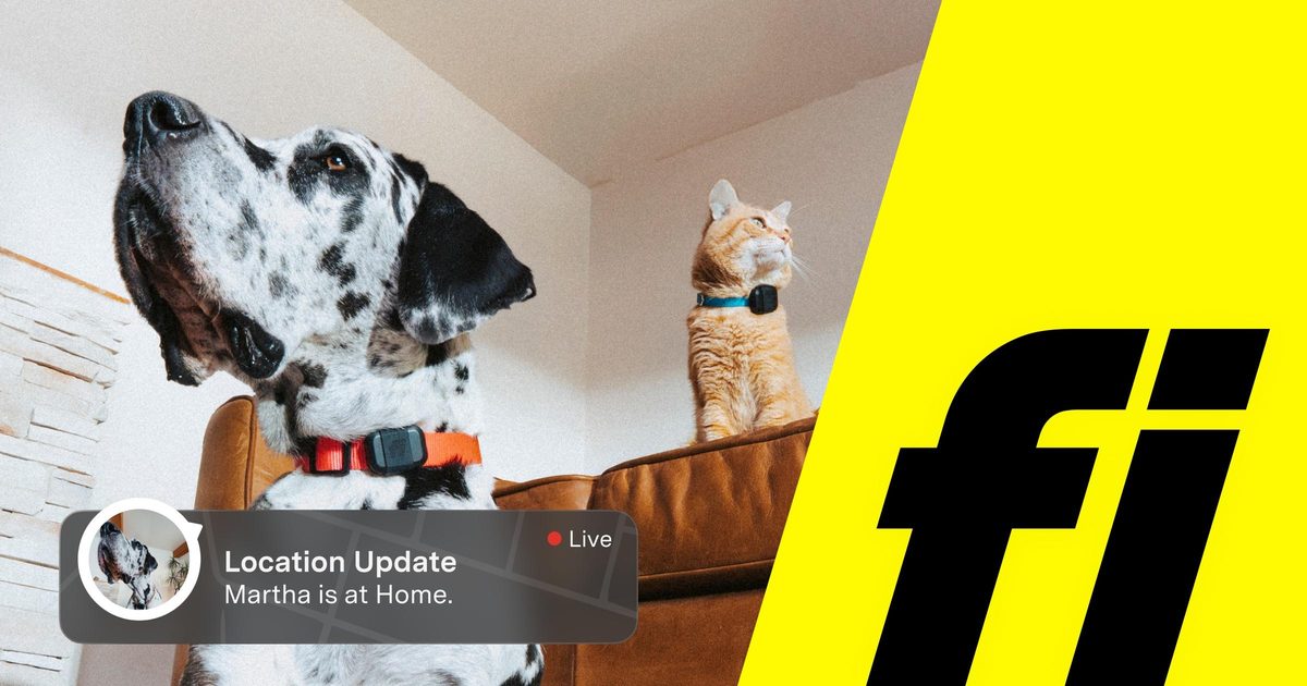 Fi Collar by Fi — brand photography